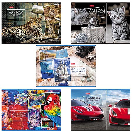 картинка Альбом А4 48л " Hatber " Ассорти (ассорти), на скобе, обложка- мелованный картон, блок-офсет- 100г/м2, 1 дизайн в спайке, 5 дизайнов в спайке