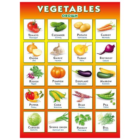 картинка Плакат " Мир поздравлений " 941 А2 Vegetables. Овощи