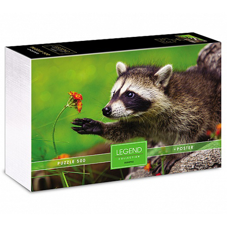 картинка Пазлы " Hatber " 500элементов Premium Legend ZooStyle Любопытный енот 48*33см, постер, подарочная картонная упаковка