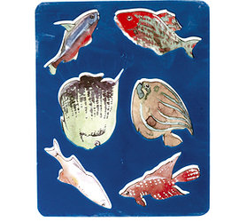 картинка Трафарет-раскраска " Луч " 165*205мм, Аквариумные рыбки