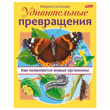 картинка Обучающее пособие " Hatber " А5 8л Удивительные превращения- Как появляются живые организмы, на скобе, цветной блок