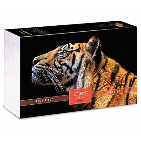 картинка Пазлы " Hatber " 500элементов Premium Legend ZooStyle Взгляд тигра 48*33см, постер, подарочная картонная упаковка