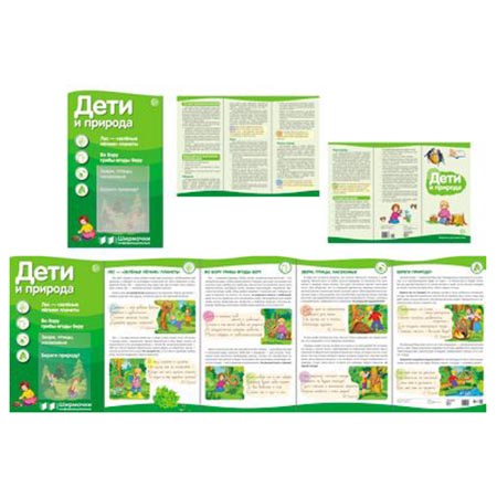 картинка Стенд-гармошка " Сфера " 200*330мм Дети и природа