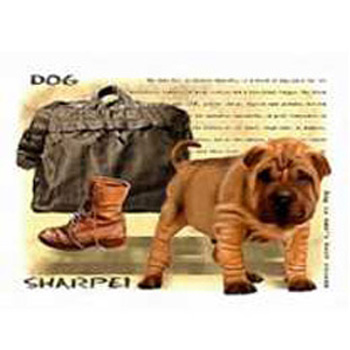 картинка Постер магнитный 240*300мм " Счастливый друг " Винил, европодвес