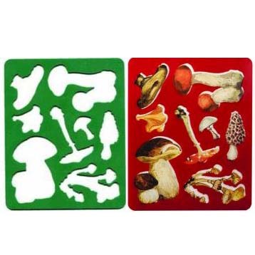 картинка Трафарет-раскраска " Луч " 165*205мм, Грибы