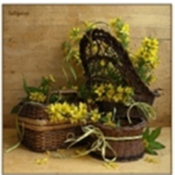 картинка Постер магнитный 100*100мм " Ароматные цветы " Винил, европодвес