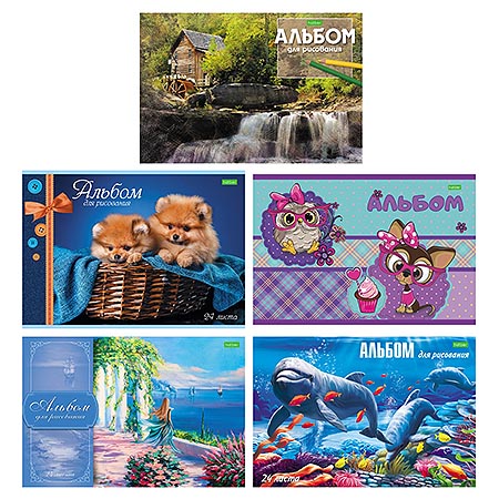 картинка Альбом А4 24л " Hatber " ECO Ассорти, на скобе, обложка- мелованная бумага, блок- офсет 100г/м2, 1 дизайн в спайке, 5 дизайнов в коробке