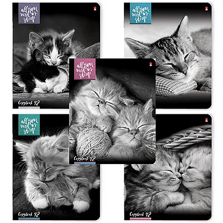 картинка Тетрадь А5 48л " Альт " Котята мур-мур, клетка, блок- офсет 60г/м2, на скобе, обложка- мелованный картон, гибридный УФ-лак, скругленные углы, 5 дизайнов