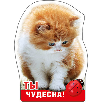 картинка Магнит виниловый " Хорошо " 615 Ты чудесна!