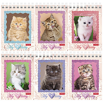 картинка Блокнот МАЛЫЙ ФОРМАТ А7 спираль 40л " Hatber " Котята, клетка, обложка - мелованный картон, 6 дизайнов