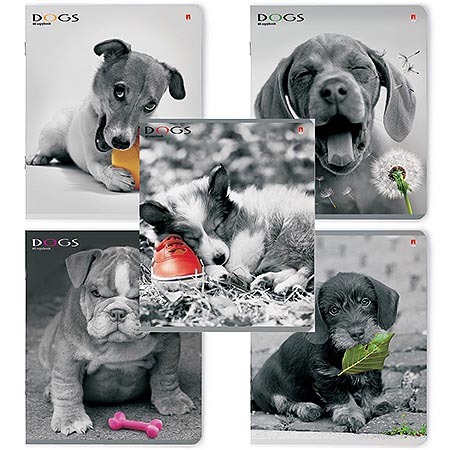 картинка Тетрадь А5 48л клетка " Альт " Щенки. Контрасты, офсет, на скобе, обложка - мелованный картон, сплошной УФ-лак, скругленные углы, 5 дизайнов в спайке