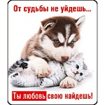 Магнит виниловый " Хорошо " 918 От судьбы не уйдешь, без отделки, 60х70мм