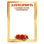 Благодарность за активное участие в жизни школы А5 150 " Мир поздравлений " без отделки, название
