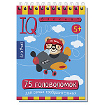 Головоломки IQ " Айрис-пресс " 105*150мм 80стр Умный блокнот. 75 головоломок
