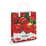 Пакет ПЭ " Интерпак " с пластиковой ручкой МП, 23*27см 150мкм Галерея