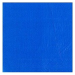 Салфетки " Веселая Затея " Синие 2-слойные 12шт 33*33см