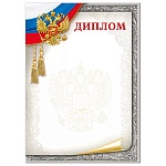 Диплом РФ А4 409 " Мир поздравлений " Флаг и герб, мелованный картон 190г/м2, без отделки