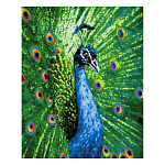 Картина алмазная " Lori " 40*50см Павлин, полное заполнение, основа с цветной схемой, комплект квадратных страз, стилус, лоток для страз, сухой клей, холст без подрамника с клеевой основой