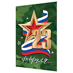 Бирка для букетов и подарков " Мир открыток " 2-70 23 Февраля- Триколор, красная звезда, 115*85мм, без отделки, текст