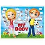 Плакат " Мир поздравлений " 941 А2 My Body/Моё тело