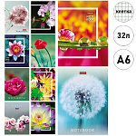 Записная книжка МАЛЫЙ ФОРМАТ А6 32л " Hatber " Живые моменты, клетка, обложка - глянцевый ламинированный картон, на скобе, 10 дизайнов