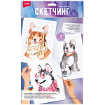 Скетчинг акварелью " Lori " Собаки на прогулке, состав набора: 3 основы с нанесённым контуром, краски, кисть, палитра, инструкция,пакет, европодвес