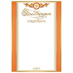 Благодарность родителям А4 9-01 " Мир открыток " Название, фольга, мелованный картон 190г/м2