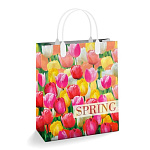Пакет ПЭ " Интерпак " с пластиковой ручкой МП, 23*27см 150мкм Пора тюльпанов