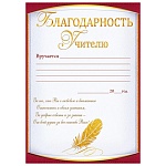 Благодарность учителю А4 409 " Открытая планета " мелованный картон 190г/м2, без отделки, текст