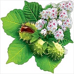 Украшение на скотче " Праздник " 190 Каштан, 196*196мм, вспененный скотч, глянцйевый ВД-лак