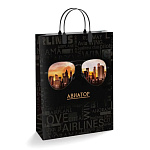 Пакет ПЭ " Интерпак " с пластиковой ручкой МП, 30*40см 150мкм Авиатор