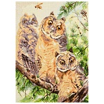 Набор для вышивания " PANNA " Крест 27*36см Тройняшки, счетный крест, бэкстич, полукрест, заполнение полное, уровень сложности 3