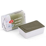 Акварель " Белые ночи " кювета 2,5мл земля зеленая