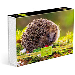 Пазлы " Hatber " 500элементов Premium Ежик на полянке 33*48см, постер, подарочная картонная упаковка