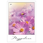 Бирка для букетов и подарков " Праздник " 060 Поздравляю! Розовые цветы, 77*54мм, глянцевый УФ-лак