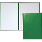 Папка адресная " deVente " Без нанесения зеленая А4, лента для удержания документов, бумвинил