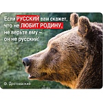 Магнит виниловый " Хорошо " 612 Если русский вам скажет...- медведь, 93*70мм