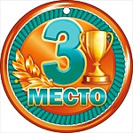 Медаль картонная 3 место D=94мм " Открытая планета " 025 без отделки, текст