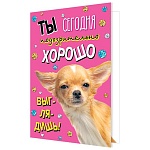 Открытка " Мир открыток " 2-04 Ты сегодня подозрительно хорошо выглядишь! 251*194мм, без отделки, текст