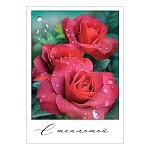 Бирка для букетов и подарков " Праздник " 075 С теплотой, Красные розы,53*77мм, лак soft-touch