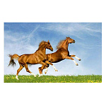 Картина алмазная " Mazari " 25*30см Кони, состав набора: холст, стразы, стилус, желеобразный клей, лоток, частичная выкладка, в термоусадочной пленке