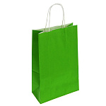 Пакет бумажный под бутылку " ПЗБМ " 15*39*8см Green, крученые ручки