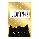Бирка для букетов и подарков " Империя поздравлений " 065 Сюрприз, Черный котик, фольга, 79*55мм