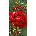 Конверт для денег " Мир поздравлений " 410 Без названия- Красный пион, 84*168мм, глянцевый УФ-лак, без текста