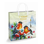 Пакет Новогодний ПЭ " Интерпак " с пластиковой ручкой МП, 30*30см 150мкм Пернатые друзья