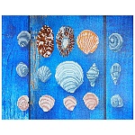 Картина алмазная " Color Kit " 40*50см Летнее настроение в наборе: холст с напечатанной схемой картины, натянутый на подрамник, набор акриловых страз разных размеров, форм и фактур, пластиковый карандаш для удобства захвата страз, сухой клей, емкость для 