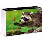 Пазлы " Hatber " 500элементов Premium Legend ZooStyle Любопытный енот 48*33см, постер, подарочная картонная упаковка