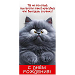 Конверт для денег " Праздник " 410 С Днем рождения! Ты не толстый..., 84*168мм, глянцевый УФ-лак, текст