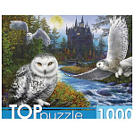 Пазлы " TOPpuzzle " 1000элементов Магическая сова и замок, 68,5*48,5см, картонная упаковка 19*15,1*6,5см