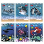 Блокнот МАЛЫЙ ФОРМАТ А7 спираль сверху 40л " Hatber " Подводный мир (ассорти), клетка, обложка - мелованный картон, 6 дизайнов